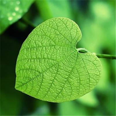 爱游穿梭机刷金币辅助下载
